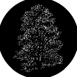 Elm - Stock Gobo for Gobo Light Projectors - Choose your size!