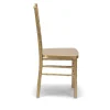EnvyChair™ Elegant Resin Chiavari Chair with Premium Steel Frame - Gold