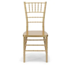 EnvyChair™ Elegant Resin Chiavari Chair with Premium Steel Frame - Gold