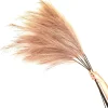 Faux Pampas Grass - 6 Stems - 48" Long - Natural Color