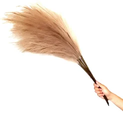 Faux Pampas Grass - 6 Stems - 38" Long - Natural Color