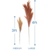 Faux Pampas Grass - 6 Stems - 38" Long - Sand