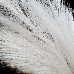 Faux Pampas Grass - 6 Stems - 48" Long - White