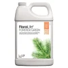 Floralife ForEver Green, 1 gal