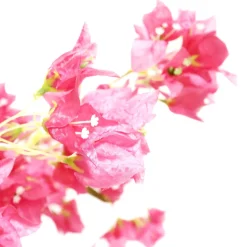 7ft Artificial Bougainvillea Tree — Fuchsia, 11 Interchangeable Branches | Customize for Weddings & Events | ModTree™ Collection