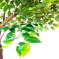 9ft Artificial Fig Leaf Tree — 14 Interchangeable Branches | Customize for Weddings & Events | ModTree™ Collection