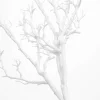 8ft Artificial Grand Manzanita Tree — White, 24 Interchangeable Branches | Customize for Weddings & Events | ModTree™ Collection