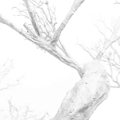 8ft Artificial Grand Manzanita Tree — White, 24 Interchangeable Branches | Customize for Weddings & Events | ModTree™ Collection