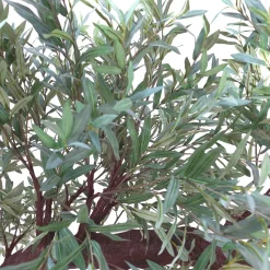 11ft Artificial Green Olive Leaf Tree, 27 Interchangeable Branches | ModTree™ Collection