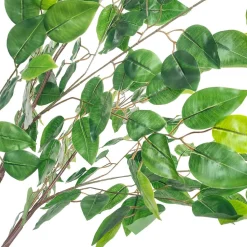 10ft Chandelier Hanger Arch — Green, 17 Interchangeable Branches Fig | Customize for Weddings & Events | ModTree™ Collection