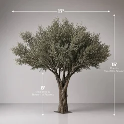 15ft Tall Realistic Giant Tree | Olive Leaf Tree | ModTree™ Flagship Collection