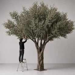 15ft Tall Realistic Giant Tree | Olive Leaf Tree | ModTree™ Flagship Collection