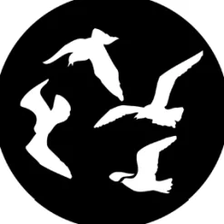 Gulls - Stock Gobo for Gobo Light Projectors - Choose your size!