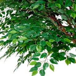 HUGE 13ft Fake Green Fig Tree - 60 Interchangeable Branches! | ModTree™ Collection