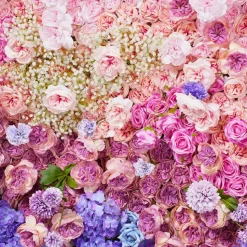 Luxe 5D Gradient Colorful Rose, Hydrangea & Babysbreath Floral Wall - Roll Up Curtain Style - Easy Install! Select Size