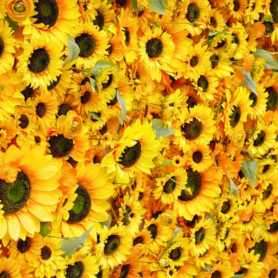 Luxe 5D Yellow Sunflower Floral Wall - Roll Up Curtain Style - Easy Install! Select Size