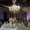 Medium Luxe 12-Arm Empress Crystal Chandelier - 24" D