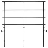 NPS Heavy-Duty Back Guardrail for 4-Level Transport Risers