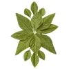 OASIS Corsage Back - Moss Green