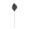 OASIS Corsage Leaf - 2 1/4" - Black