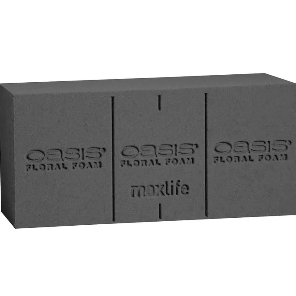 OASIS Midnight Floral Foam, 24 Standard Bricks