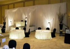 3 Panel Standard Backdrop - 6-10ft High