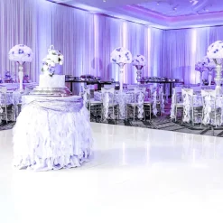 Premium Vinyl Dance Floor Wrap Roll - Gloss White