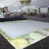 Premium Vinyl Dance Floor Wrap Custom Size - Easter Day Spring Awakening