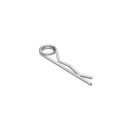 R-CLIP
