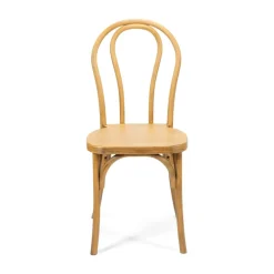 Resin Bentwood Chair - Medium with Black Grain