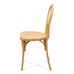 Resin Bentwood Chair - Medium with Black Grain