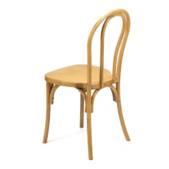 Resin Bentwood Chair - Medium with Black Grain