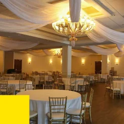 Single Piece - Sun Flower Crushed Taffeta Prefabricated Ceiling Drape Panel - Choose Length and Drop!