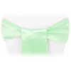 Sleek Satin Sash 6" x 108" - Mint Green