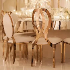 Stainless Steel Modern Double Loop Emma Dining Event Chair - Gold
