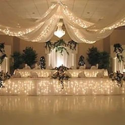 Starlight Lighting Kit - 4 Strands of Lights Recommended for 8 Panel Ceiling Draping Kit