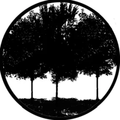 Tree Silhouette 1 - Stock Gobo for Gobo Light Projectors - Choose your size!