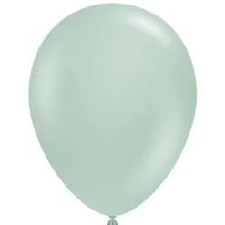 TUFTEX EmpowerBalloon -Mint Balloon - 17 inch