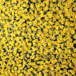 Yellow Mixed Florals & Greenery - Curtain Style Floral Wall - Easy Install! Select Size